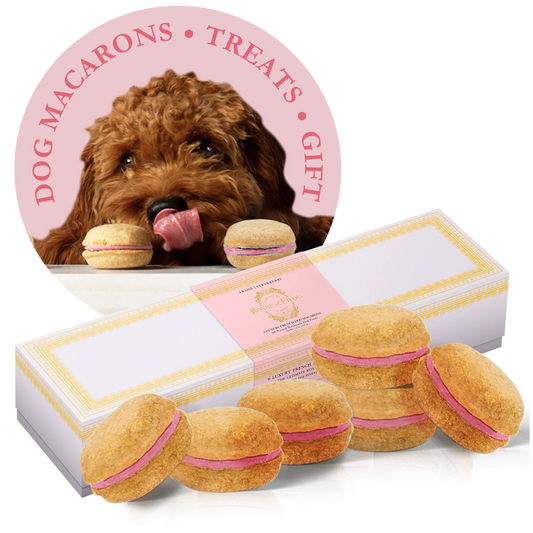 Dog Macarons - Box of 6 (Available in 12 Flavors)