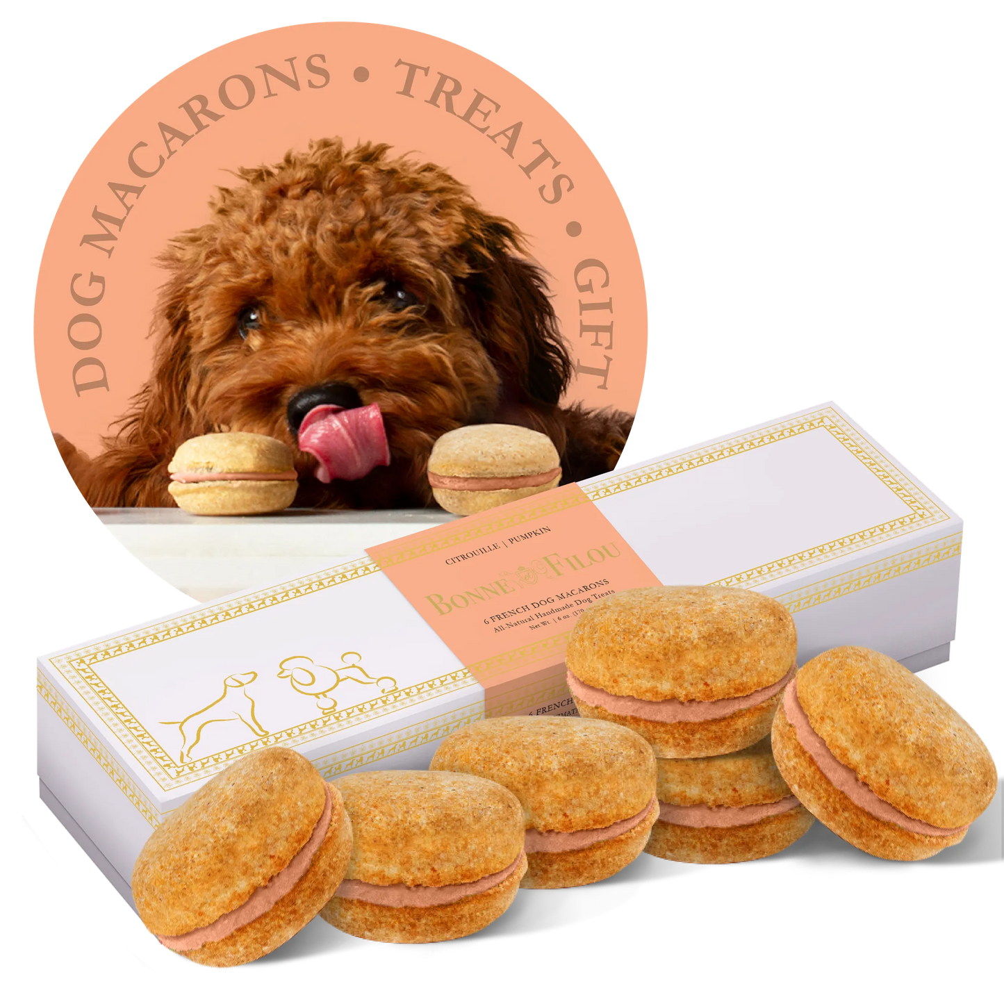 Dog Macarons - Box of 6 (Available in 12 Flavors)