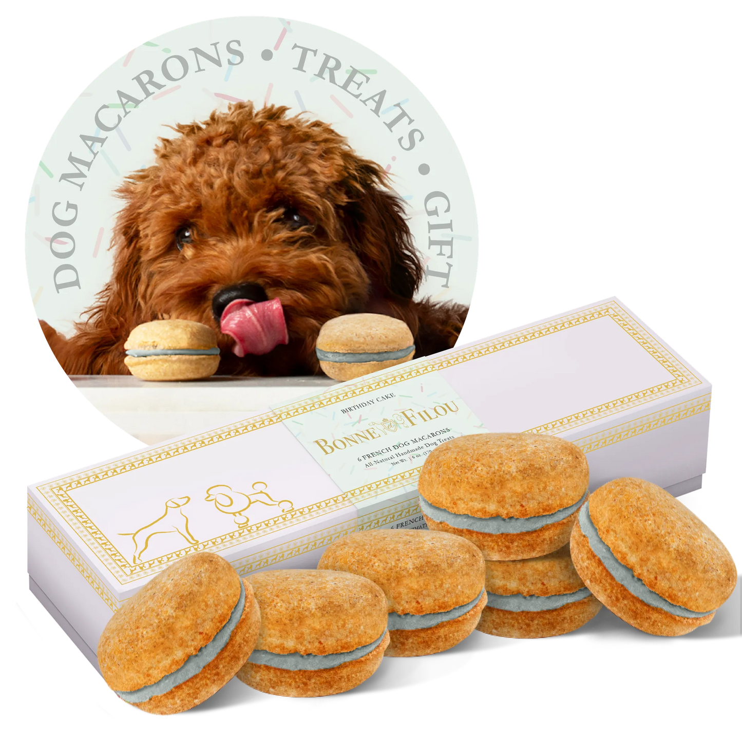 Dog Macarons - Box of 6 (Available in 12 Flavors)