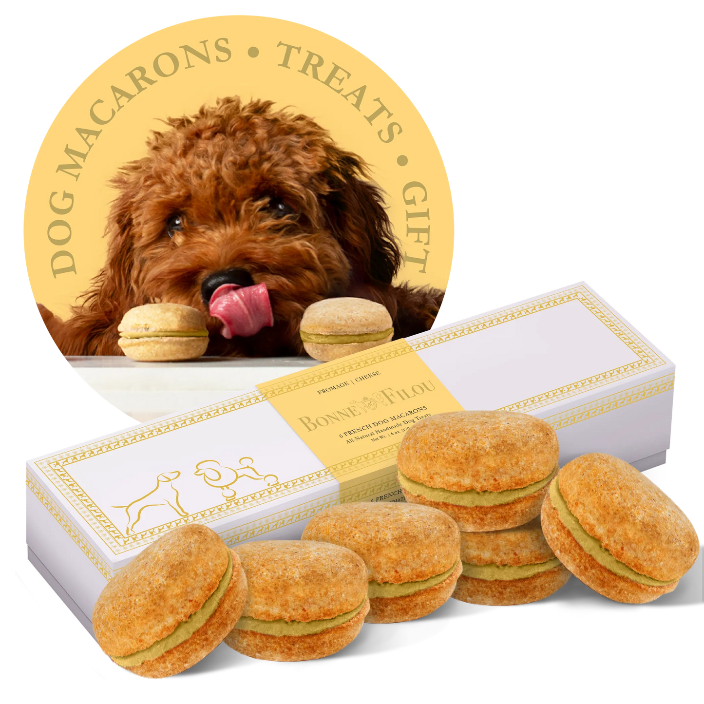 Dog Macarons - Box of 6 (Available in 12 Flavors)